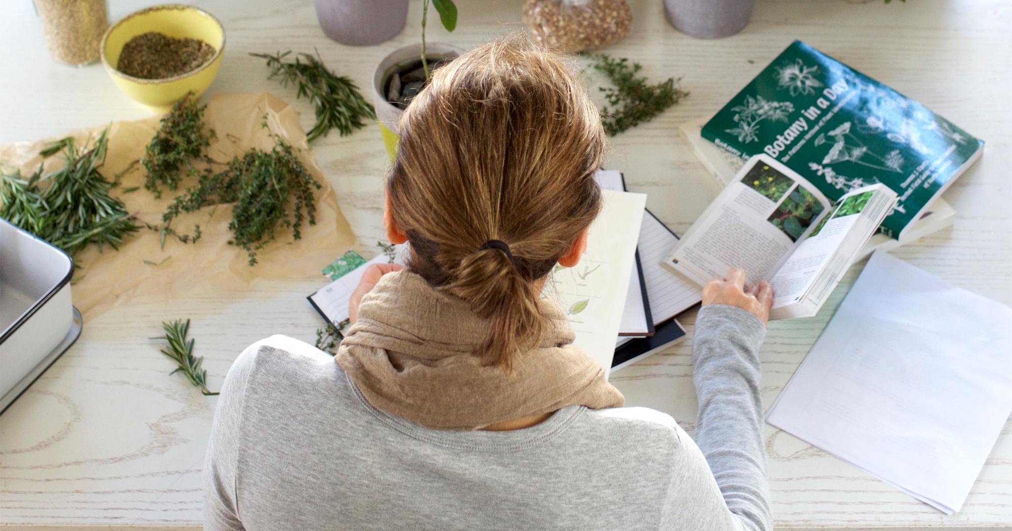 Our Materia Medica Short Course Is Back! | Herbal Academy | Our Materia Medica Short Course is back for a limited time. Learn more about it and how it can help advance your herbal studies today!