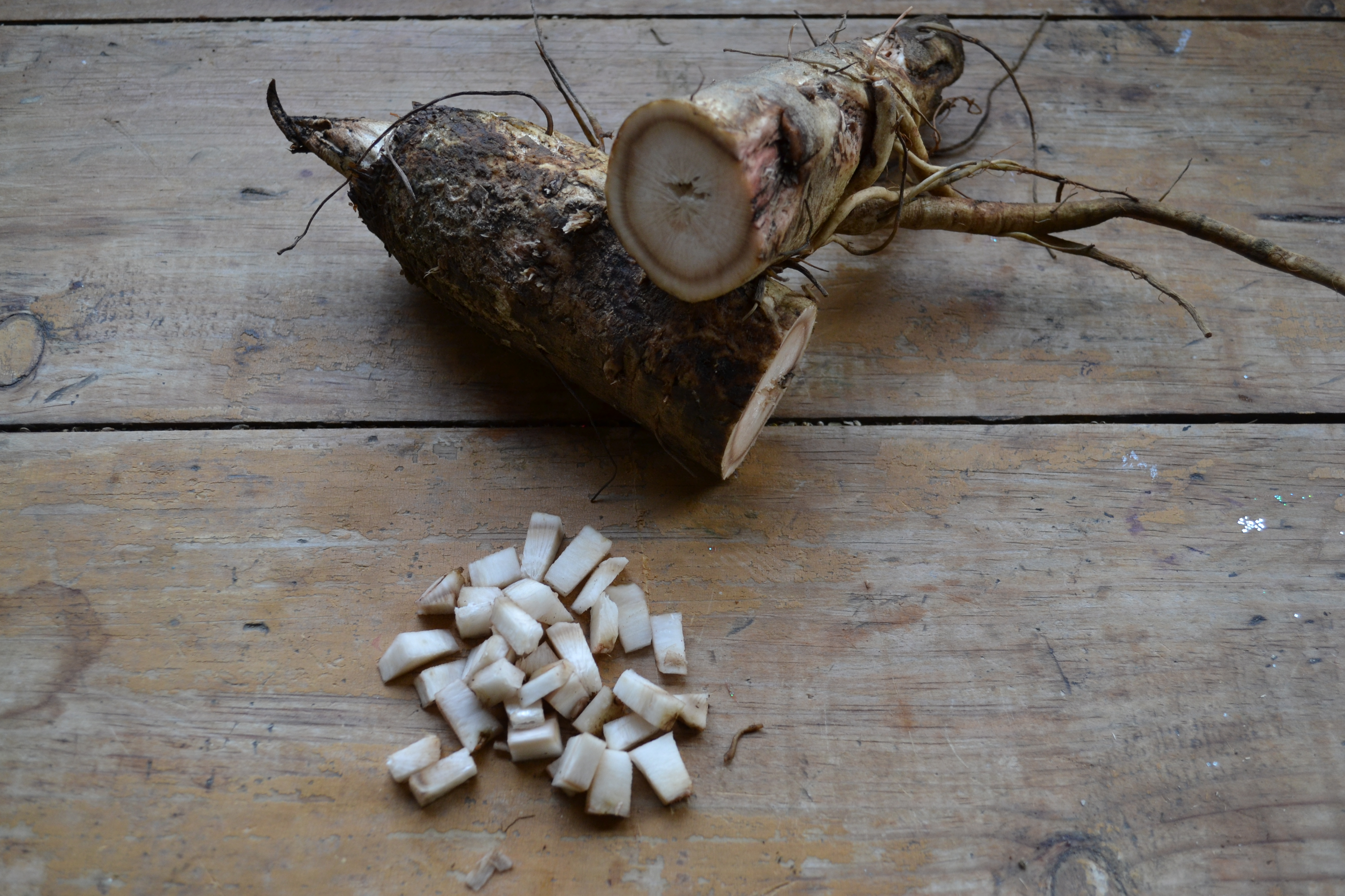 How To Make Pickled Burdock Root | Herbal Academy | Here's a simple recipe for pickled burdock root. By following this recipe, you can preserve some of burdock's beneficial properties to enjoy as a yummy snack year-round.