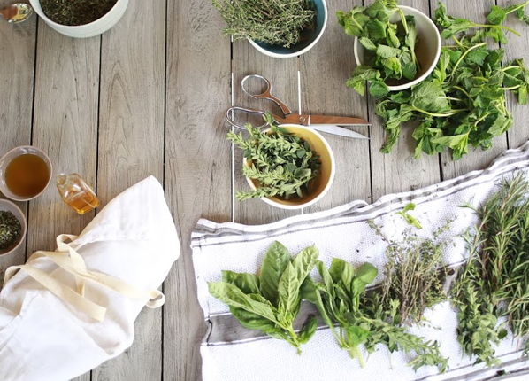 Herb Crock and Forage Bundle