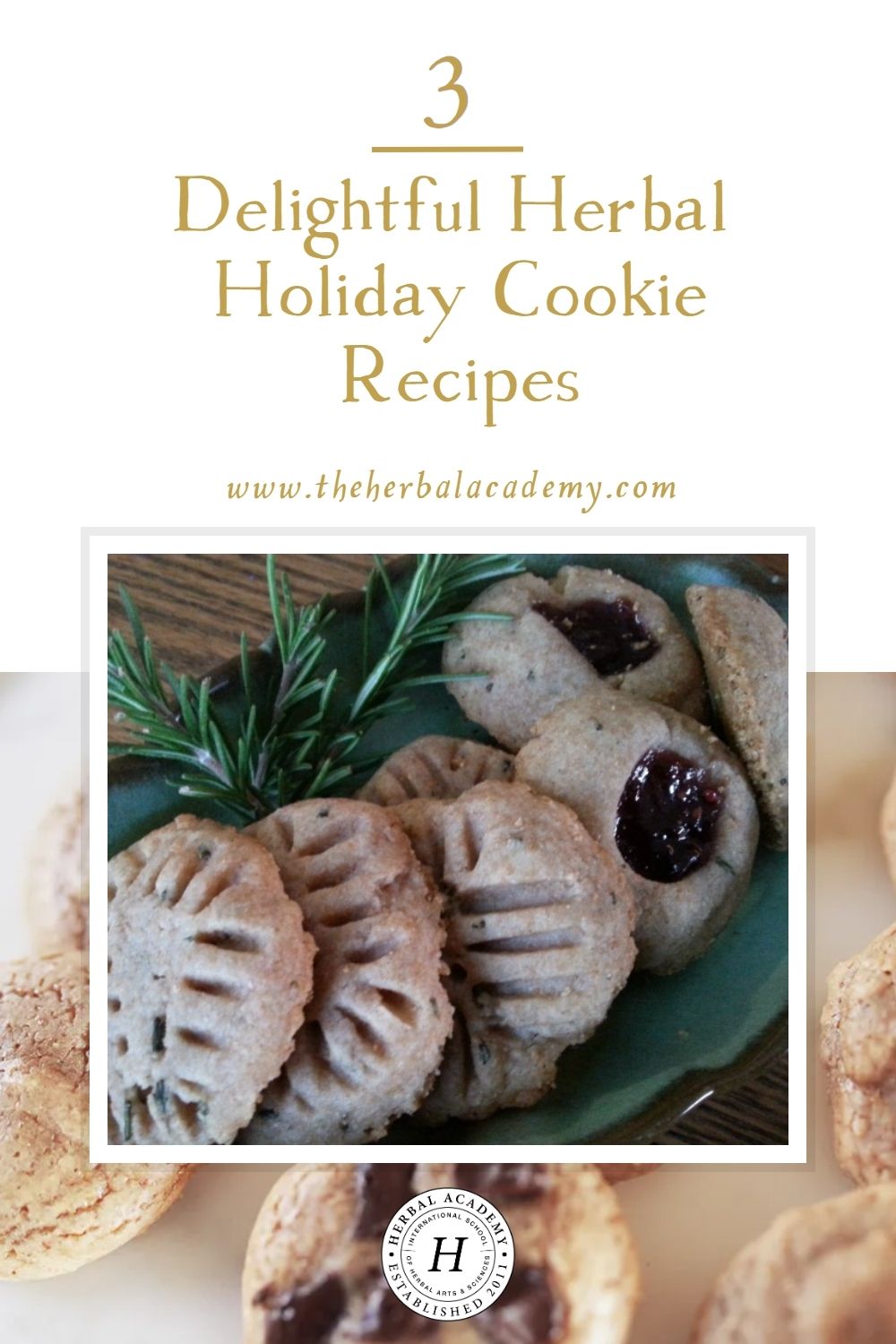 3 Delightful Herbal Holiday Cookie Recipes | Herbal Academy | Remember the simple joys of life and gather in the kitchen to whip up a batch or two of cookies! Here are 3 herbal holiday cookie recipes for you to try!