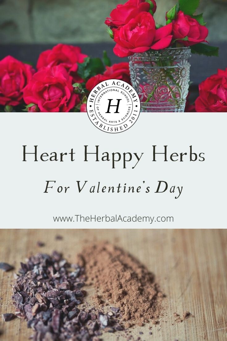 Heart Happy Herbs for Valentine’s Day | Herbal Academy | A lovely assortment of recipes and crafts to share with you about three heart-nourishing herbs for Valentine's Day: rose, cocoa, and hawthorn.