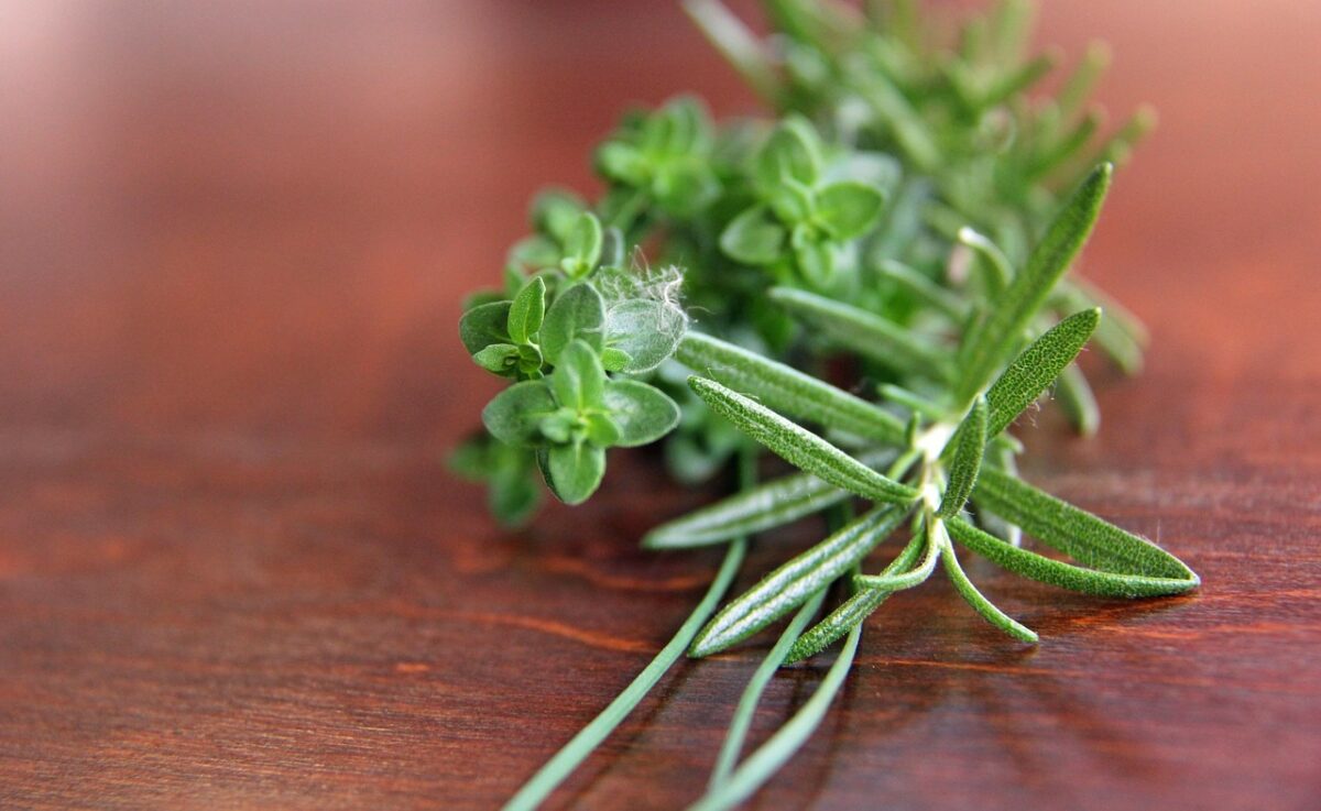 close up of thyme on a table