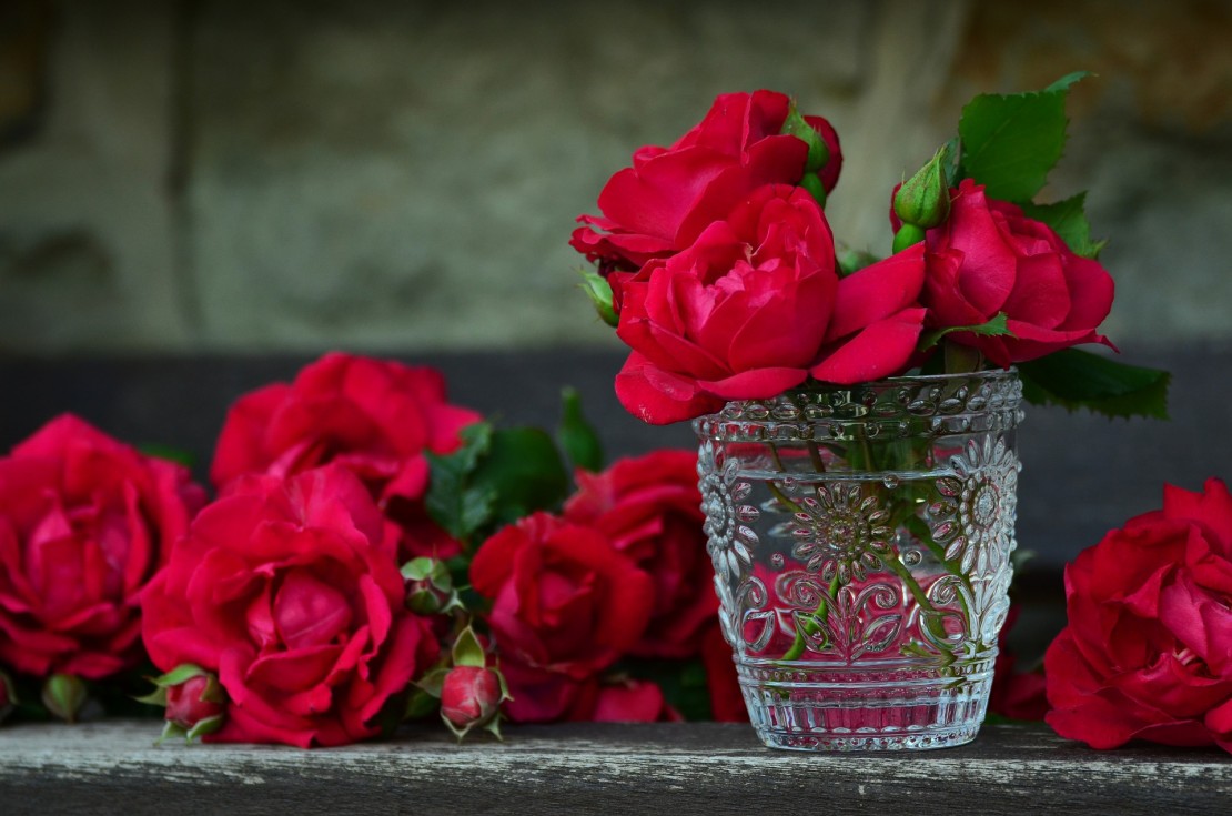 Herbs For Valentine's Day - Roses