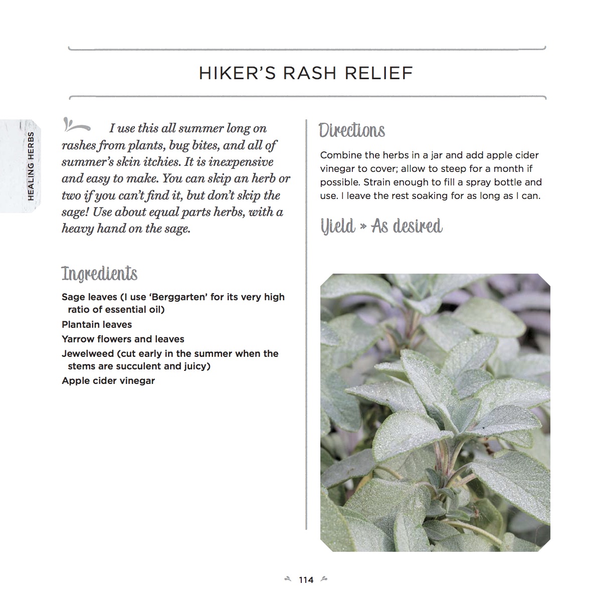 Healing Herbs Recipe for Hikers Rash Relief