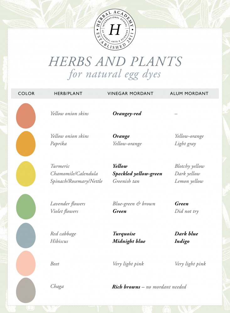 herbs and plants for natural egg dyes chart