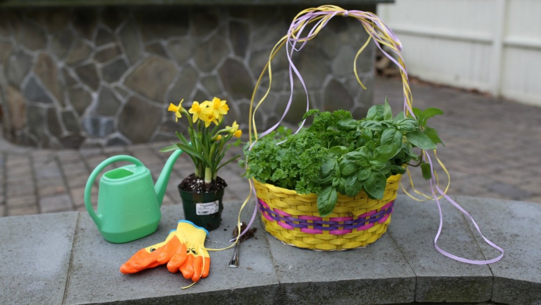 How To Make Easter Crafts for Kids With Herbs: Planting a Living Easter Basket Tutorial | Herbal Academy | If you are looking for a break from the ordinary Easter crafts for kids, this living Easter basket is sure to please!