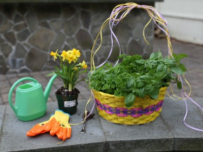 How To Make Easter Crafts for Kids With Herbs: Planting a Living Easter Basket Tutorial | Herbal Academy | If you are looking for a break from the ordinary Easter crafts for kids, this living Easter basket is sure to please!