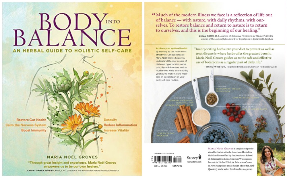 Giveaway: Body Into Balance | Herbal Academy | Win a copy of Maria Noël Groves's new book, Body Into Balance!