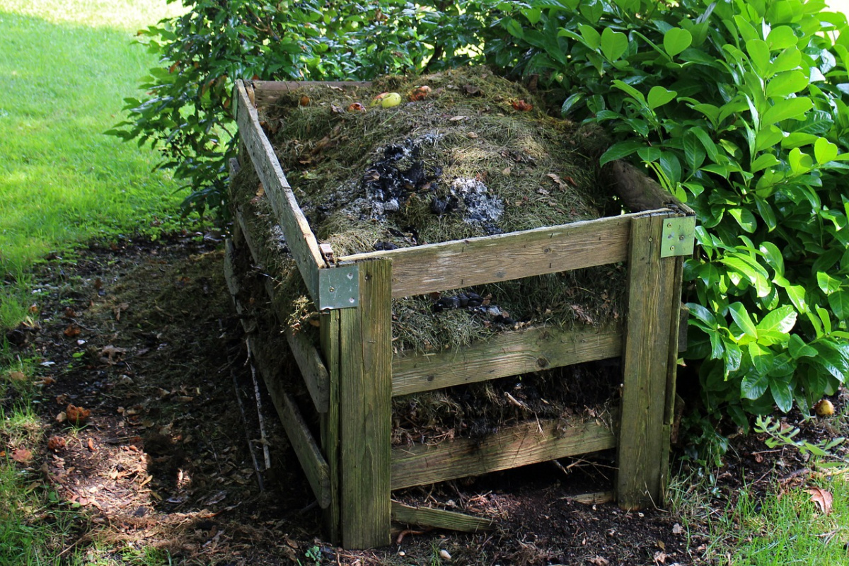 photo of compost bin outside