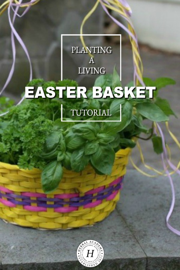 How To Make Easter Crafts for Kids With Herbs: Planting a Living Easter Basket Tutorial | Herbal Academy | If you are looking for a break from the ordinary Easter crafts for kids, this living Easter basket is sure to please!