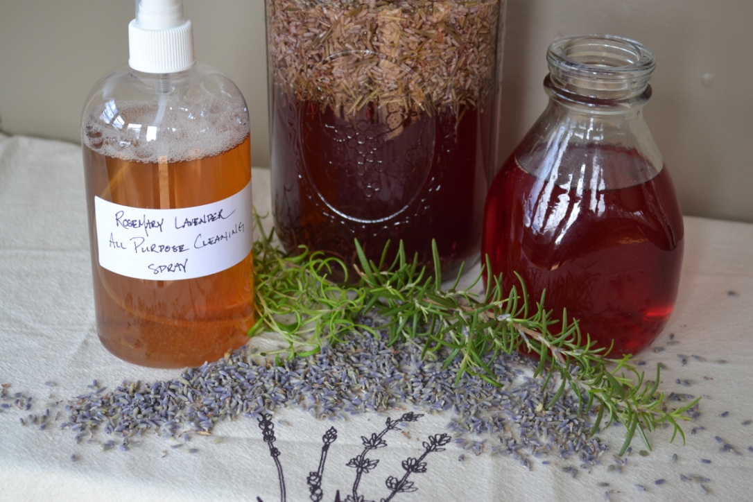 How To Make An All-Purpose Herbal Cleaning Spray For Spring Cleaning | Herbal Academy | Spring cleaning is another opportunity to integrate herbs into our lives. Here's an easy way to do it with an all-purpose herbal cleaning spray!