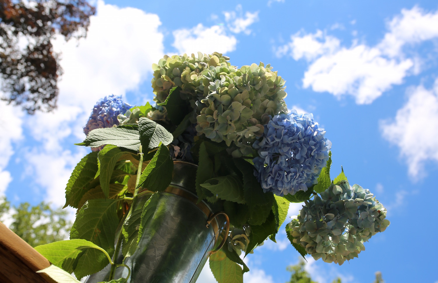 How To Make A DIY Mother's Day Bouquet Using The Language of Flowers