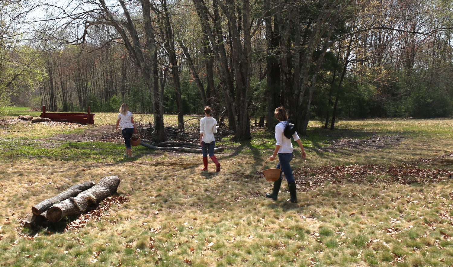 Foraging at the Herbal Academy