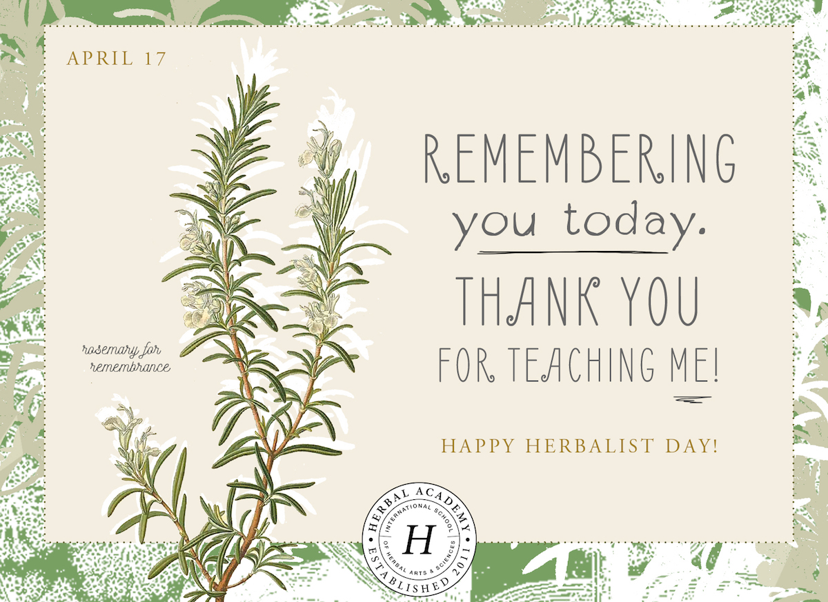 Celebrate Herbalist Day by Honoring Your Teachers – FREE card downloads! | Herbal Academy | Thank An Herbalist Day, coming up on April 17th, is the perfect opportunity to reach out to thank an herbalist who has assisted, taught, or inspired you in some way! 