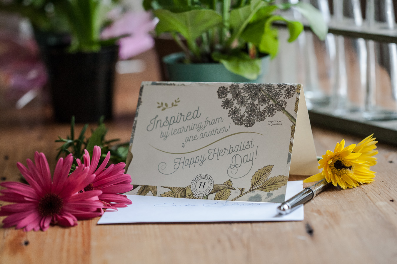 Celebrate Herbalist Day by Honoring Your Teachers – FREE card downloads! | Herbal Academy | Thank An Herbalist Day, coming up on April 17th, is the perfect opportunity to reach out to thank an herbalist who has assisted, taught, or inspired you in some way! 