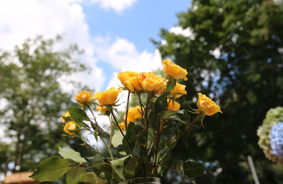 Making Bouquets with the Language of Flowers for Mother's Day