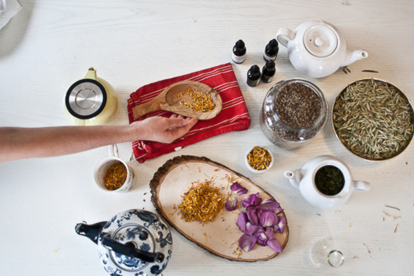 Online Introductory Herbal Course by Herbal Academy