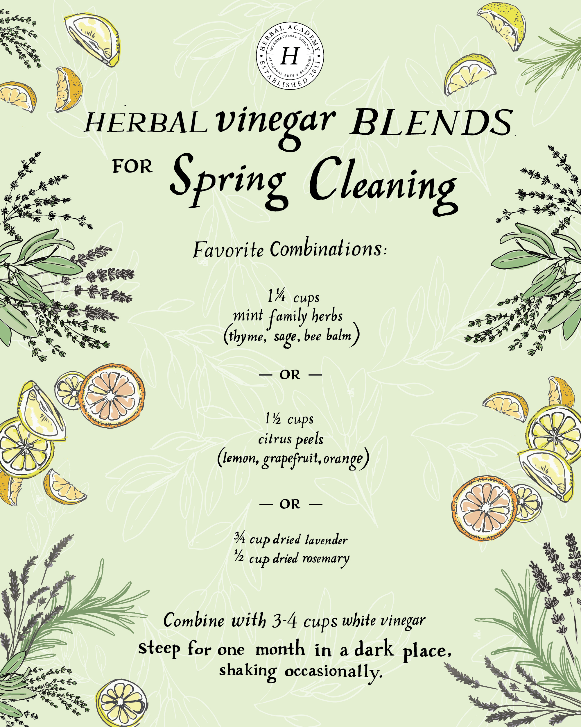 Crazy Cleaning Lady All Purpose Cleaner — Maidenhair Herbs