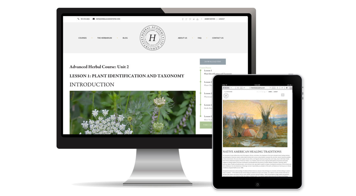 Is Becoming A Clinical Herbalist In Your Future? | Herbal Academy | Learn about the clinical herbalist — what they are, what they do, and how you can begin your journey with the Herbal Academy!