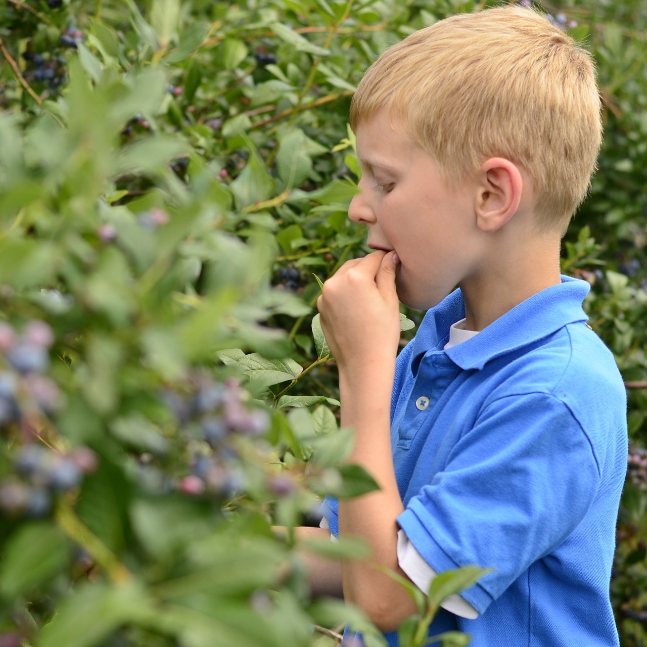 Sour Flavors: How Taste Can Rinse Out Winter | Learn how to use sour flavors of spring for liver and digestive health.