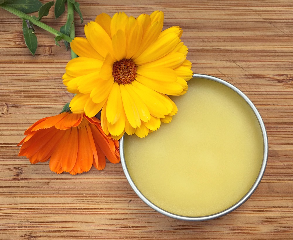 How To Make Calendula Salve | Herbal Academy | Calendula is an herb that is very gentle on the skin and perfect for scrapes and bug bites. Learn how to make a heal-all calendula salve!