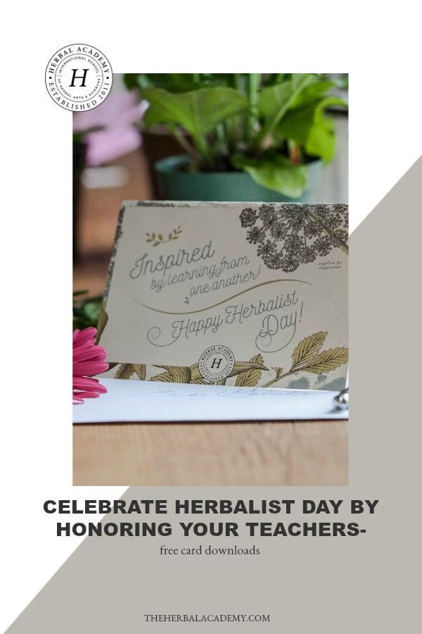 Celebrate Herbalist Day by Honoring Your Teachers – FREE card downloads! | Herbal Academy | Thank An Herbalist Day, coming up on April 17th, is the perfect opportunity to reach out to thank an herbalist who has assisted, taught, or inspired you in some way! 