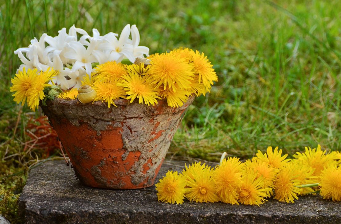 Herb Gardening With Children (Family Herbal Summer Series: Part 2) | Herbal Academy | Welcome back to our family herbal summer series for kids and parents! This second week is all about getting outside into the garden!