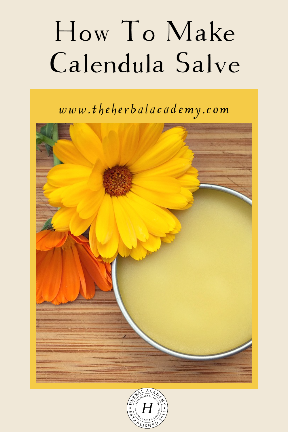 How To Make Calendula Salve | Herbal Academy | Calendula is an herb that is very gentle on the skin and perfect for scrapes and bug bites. Learn how to make a heal-all calendula salve!