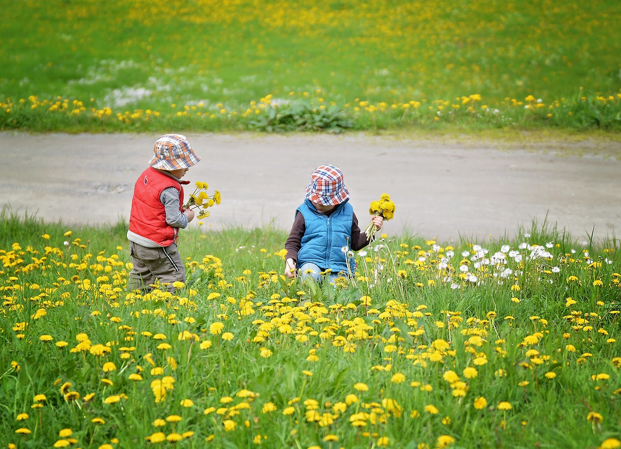 Family Wildcrafting (Family Herbal Summer Series: Part 3) | Herbal Academy | Join us on an herbal adventure as we discover the joys of family wildcrafting!