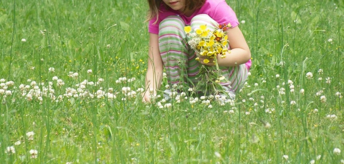 Family Wildcrafting (Family Herbal Summer Series: Part 3) | Herbal Academy | Join us on an herbal adventure as we discover the joys of family wildcrafting!