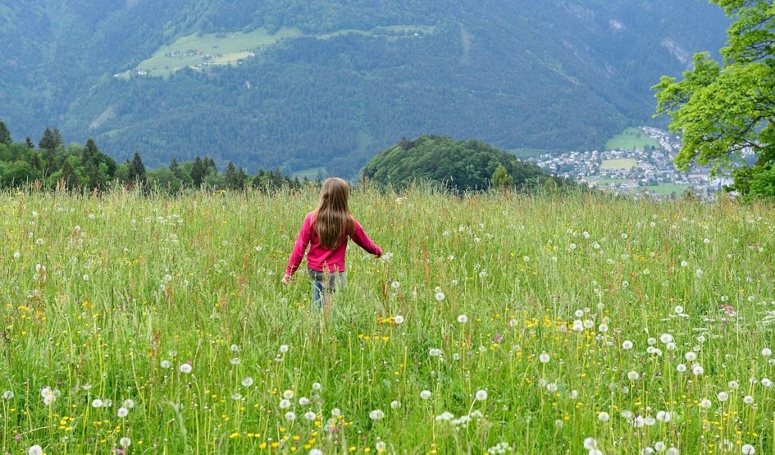 Family Wildcrafting (Family Herbal Summer Series: Part 3) | Herbal Academy | Join us on an herbal adventure as we discover the joys of family wildcrafting!