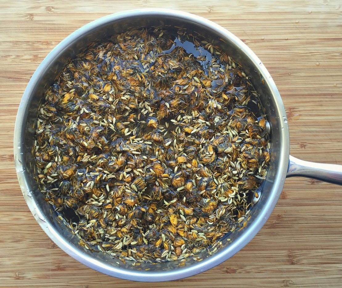 How To Make Dandelion and Fennel Kombucha Herbal Academy