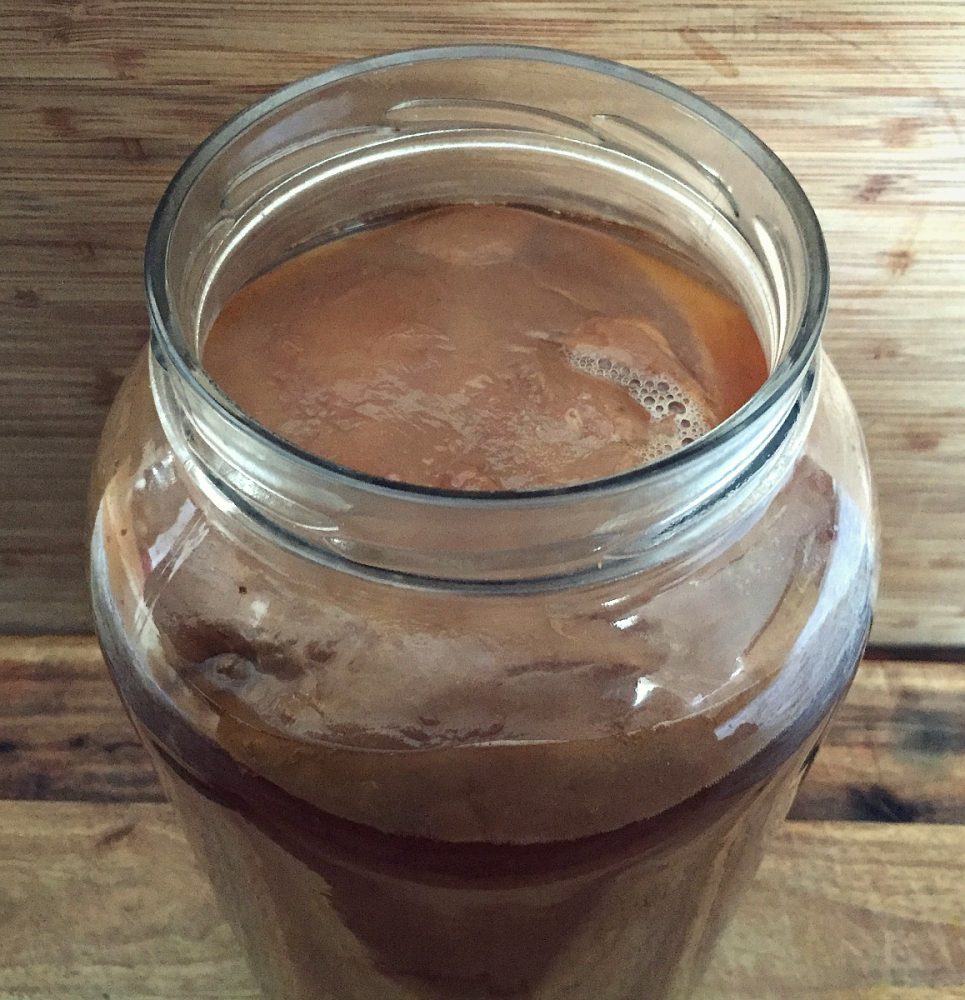 How To Make Dandelion and Fennel Kombucha Herbal Academy