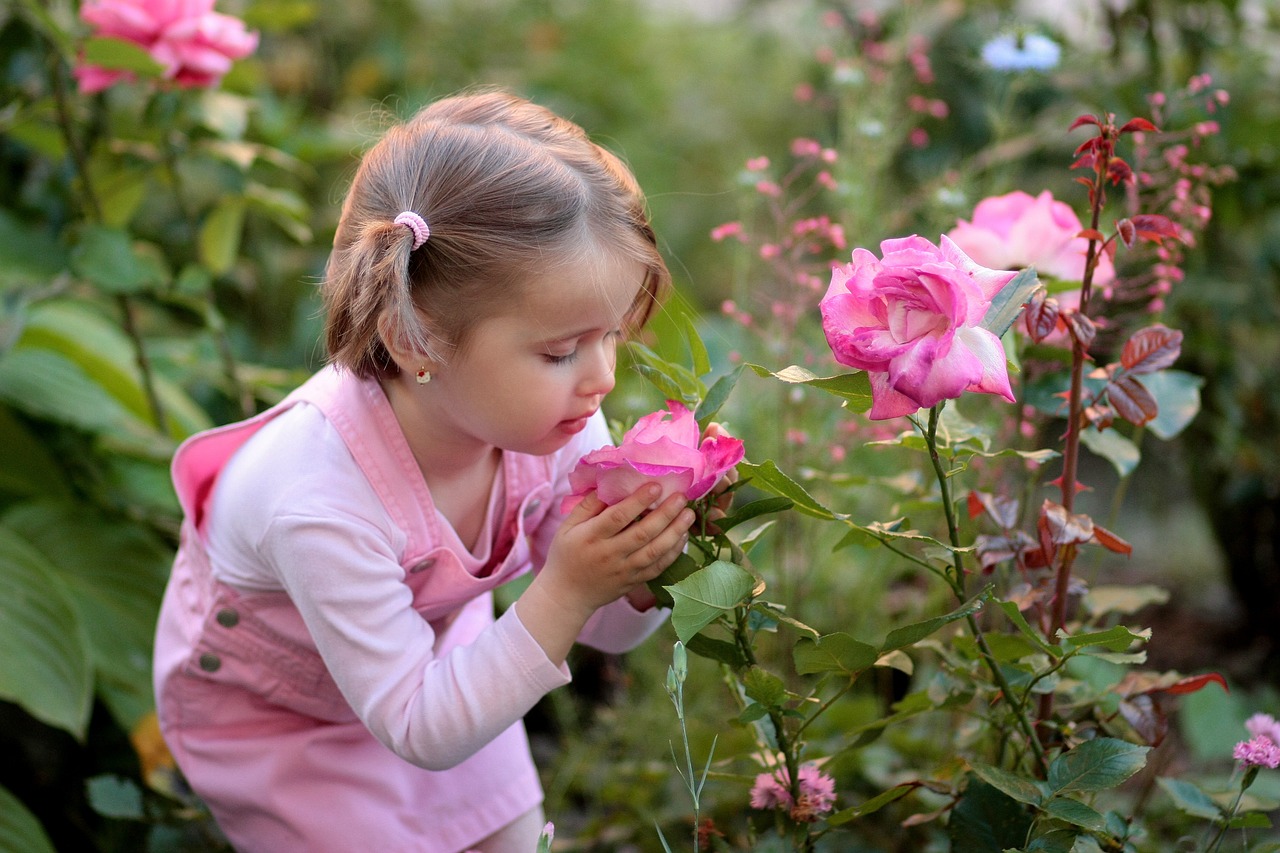 Stocking the Family Herb Cabinet (Family Herbal Summer Series: Part 4) | Herbal Academy | Stock your family herb cabinet with remedies you make together! Also enjoy using simples as a family.