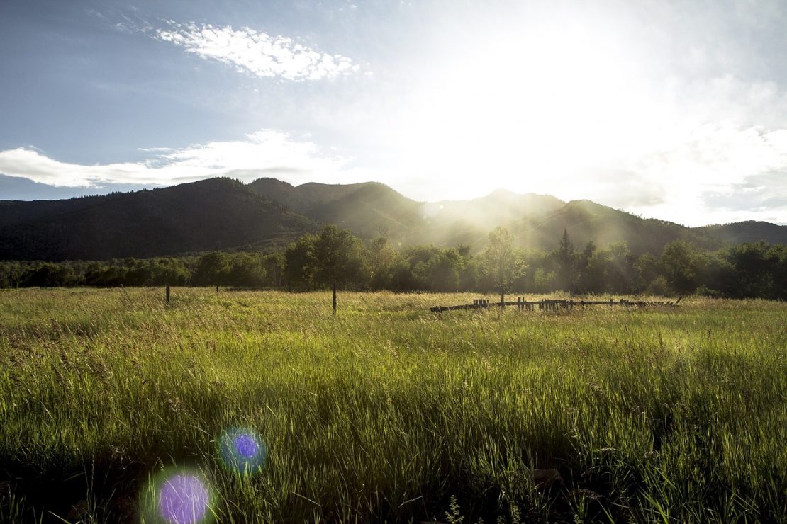 Memory of Summer | Herbal Academy | This poem remenises of summers past.