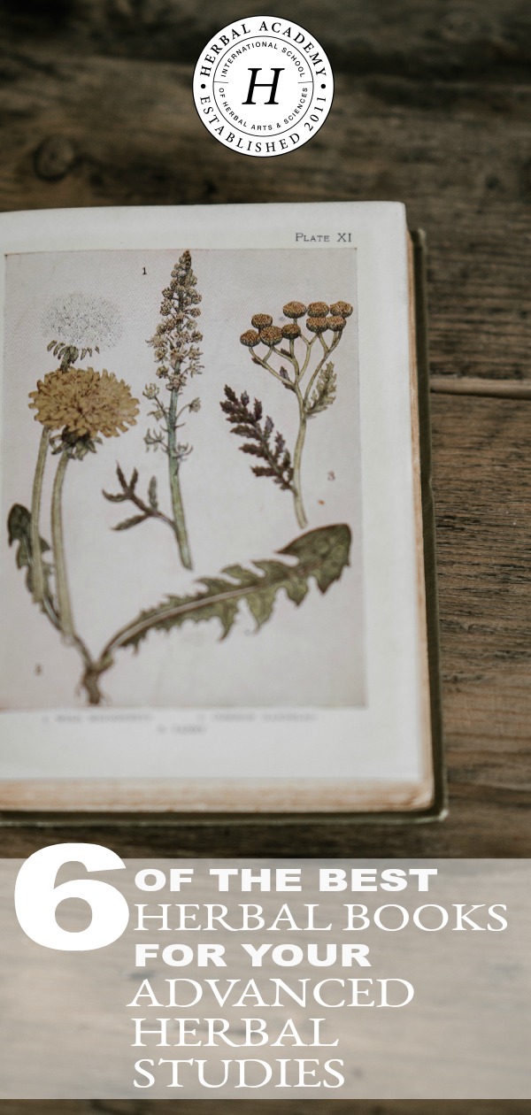 6 of the Best Books For Your Advanced Herbal Studies | Herbal Academy | As an herbalist, it's important to continue to build your herbal library. Here are 6 of the best books for your advanced herbal studies to get started.