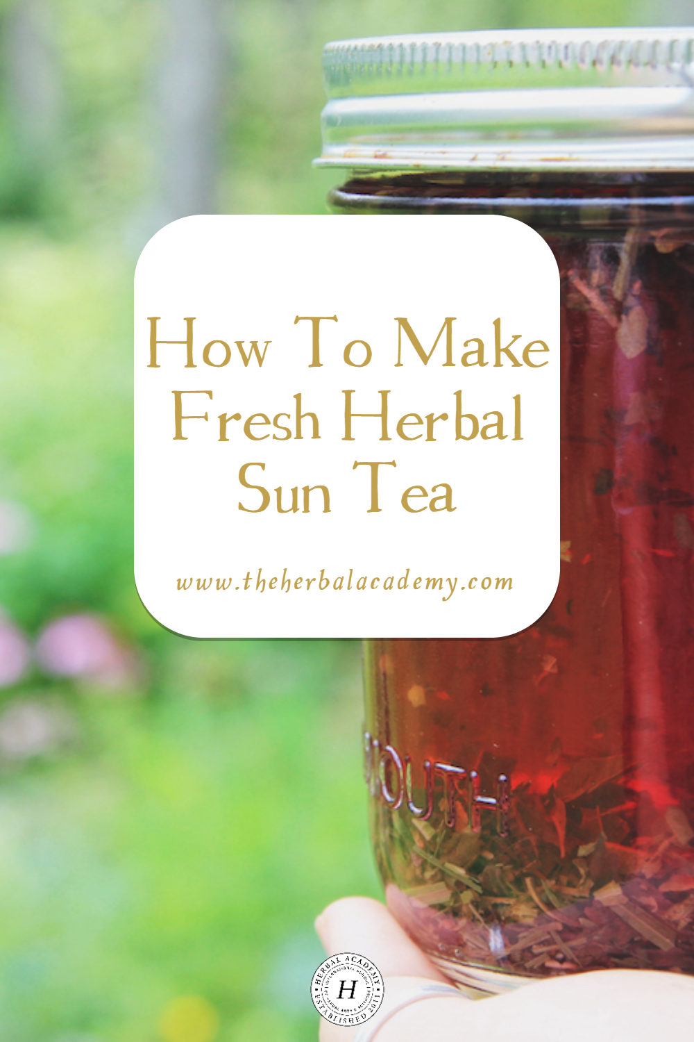 How To Make Fresh Herbal Sun Tea | Herbal Academy | What better way to become acquainted with herbs than by sipping fresh herbal sun teas? Here's how to make herbal sun teas using herbs growing all around you.