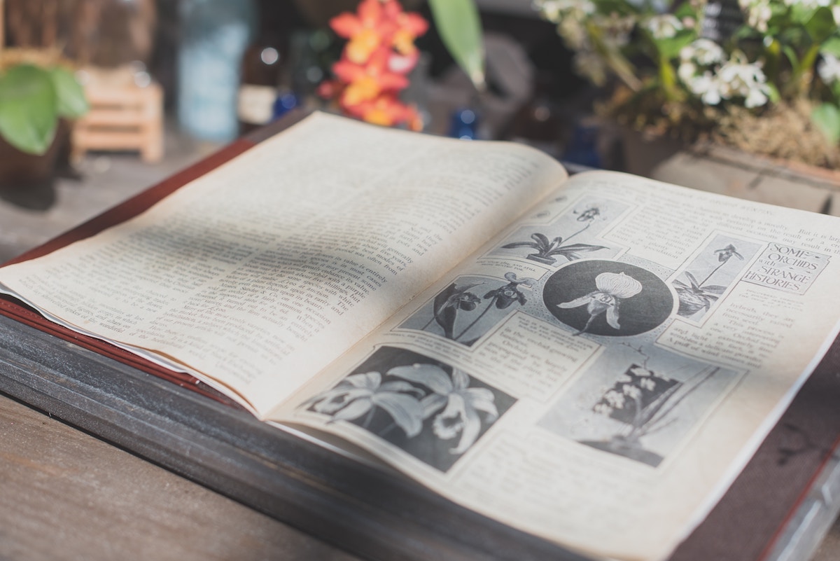 6 of the Best Books For Your Advanced Herbal Studies | Herbal Academy | As an herbalist, it's important to continue to build your herbal library. Here are 6 of the best books for your advanced herbal studies to get started.