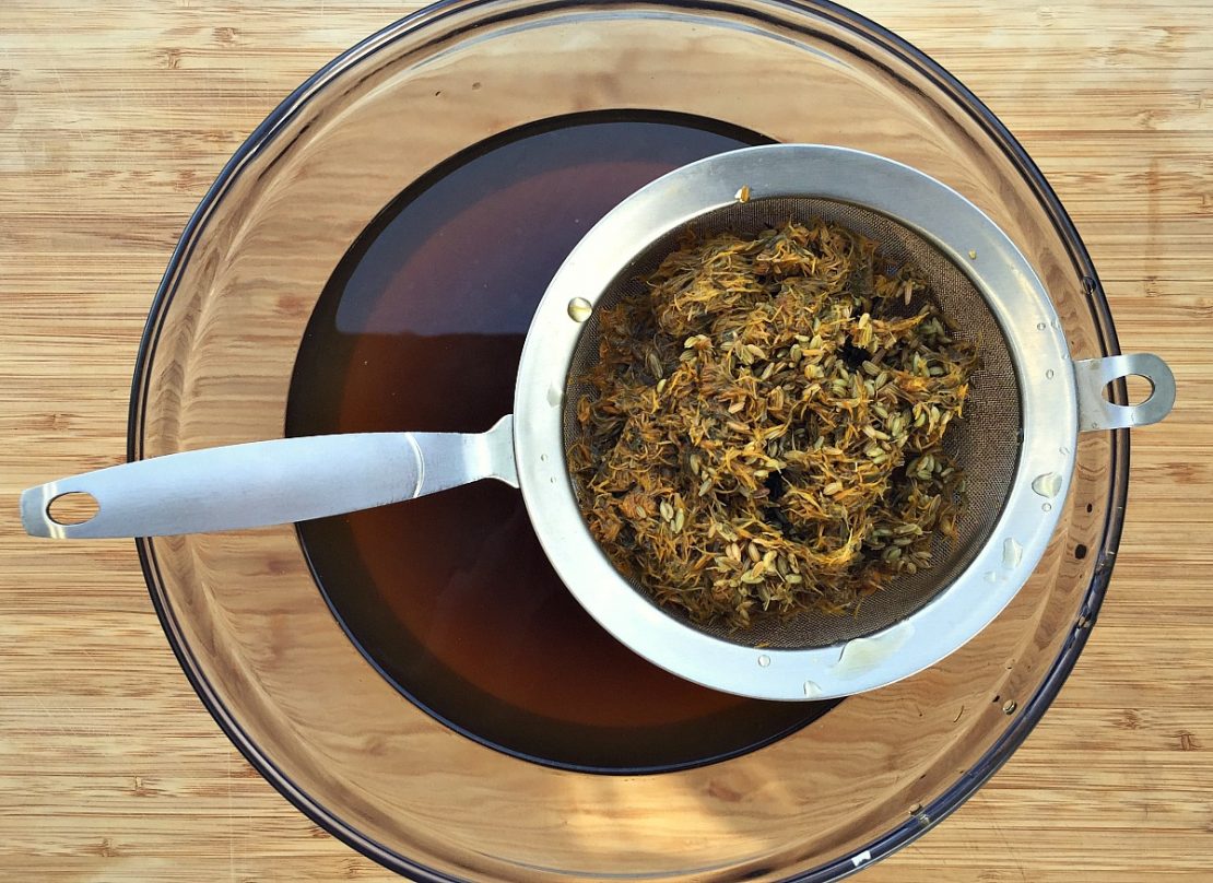 How To Make Dandelion and Fennel Kombucha Herbal Academy