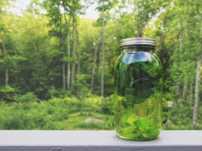 How To Make Fresh Herbal Sun Tea by Herbal Academy