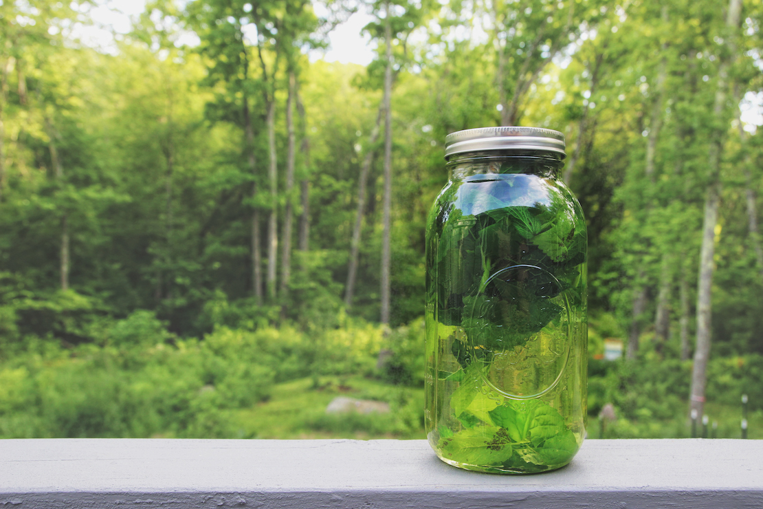 How To Make Fresh Herbal Sun Tea by Herbal Academy