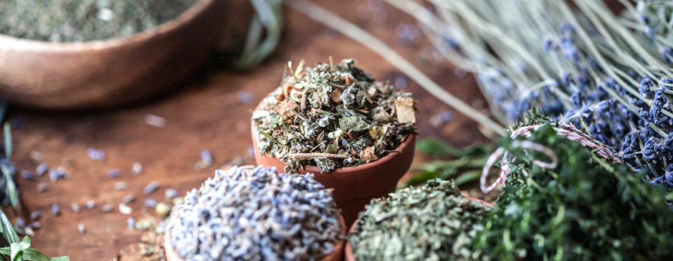 Best tips for drying herbs in a food dehydrator - Luvele US