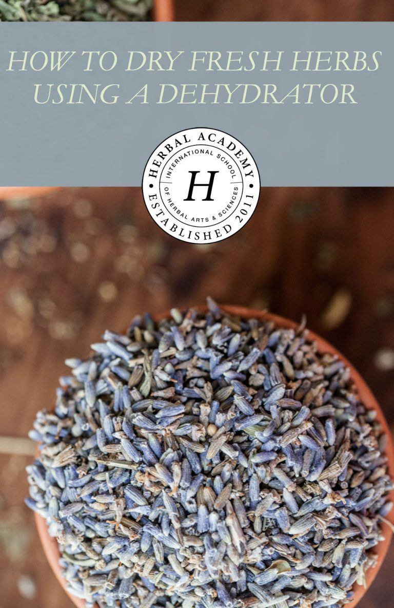 How To Dry Fresh Herbs Using A Dehydrator Herbal Academy