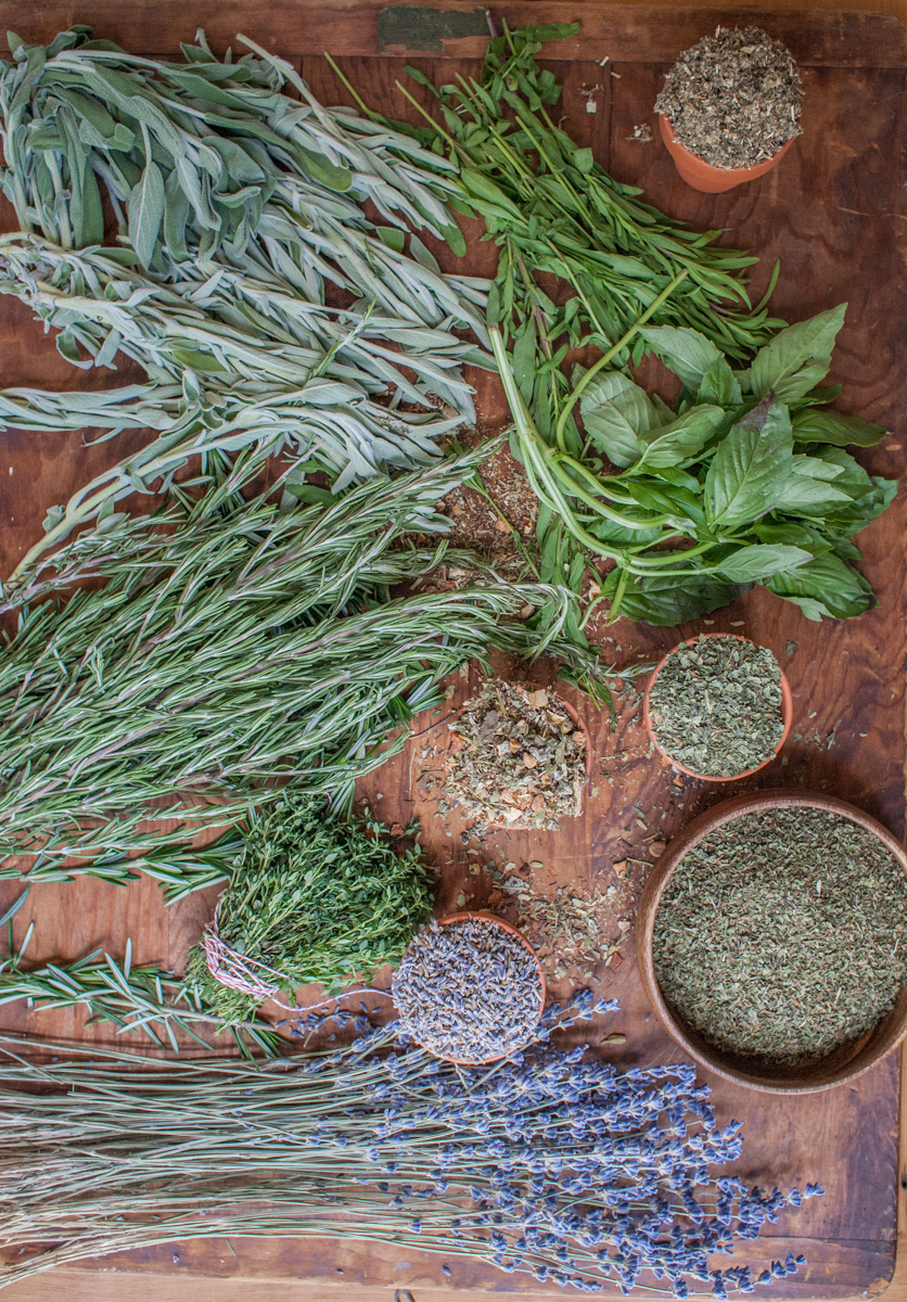 How to Dry Your Own Herbs in a Dehydrator - Roots & Boots