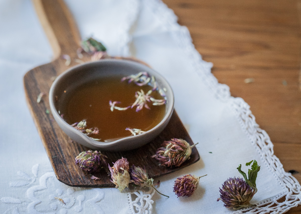 Is Red Clover Safe During Pregnancy and Breastfeeding? | Herbal Academy | Red clover is generally a safe herb to use, but is it safe during pregnancy and breastfeeding? Find out our opinion in today's post! 