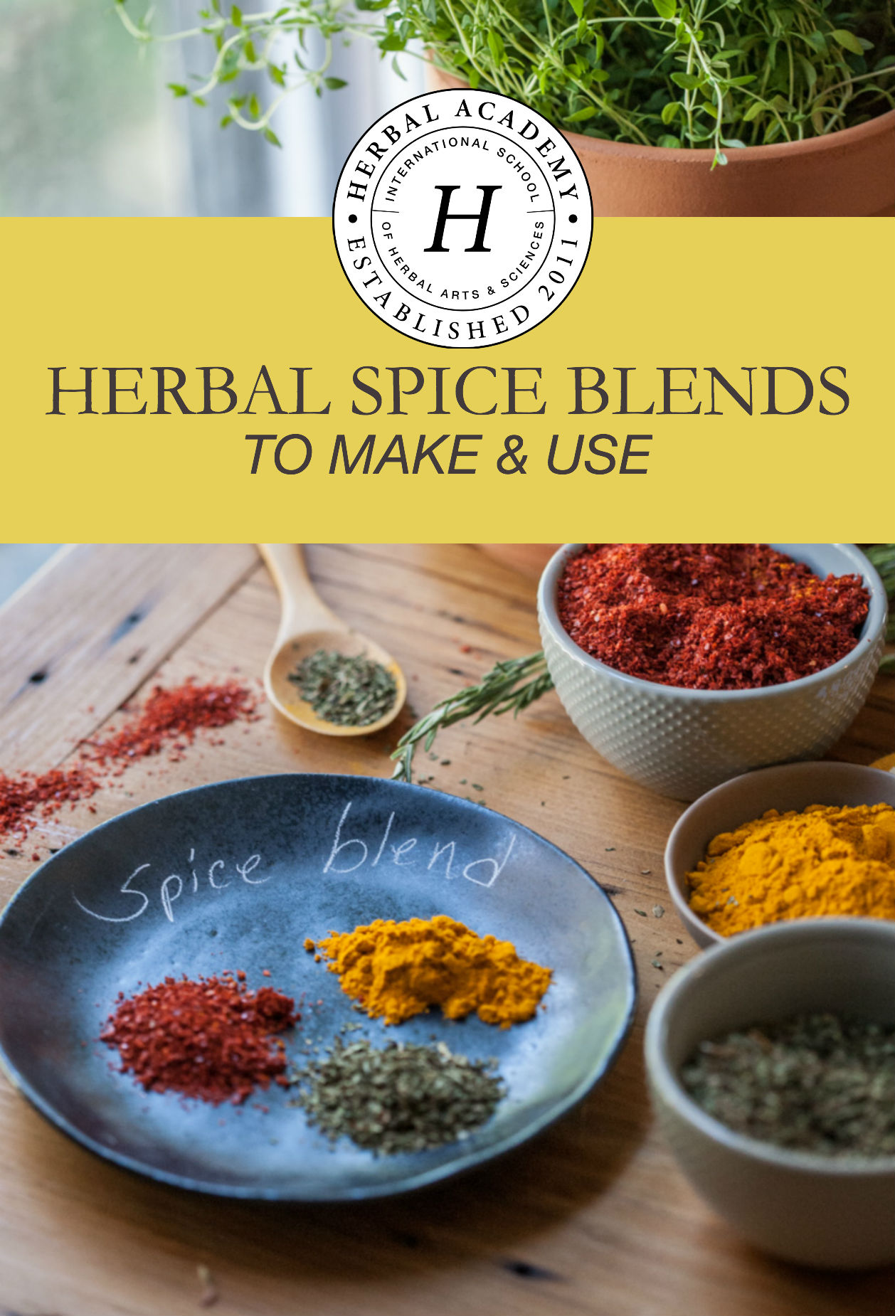 5 Herbal Spice Blends to Make and Use | Herbal Academy | Throughout human history, spices have served as a valuable resource worldwide. Here are 5 herbal spice blends to make and use for your culinary needs!