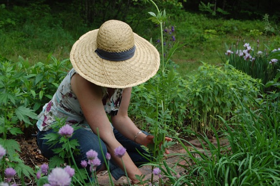 Teacher Feature: Maria Groves | Herbal Academy | Learn how herbalist Maria Groves practices herbalism, makes a living, and who her herb mentors are.