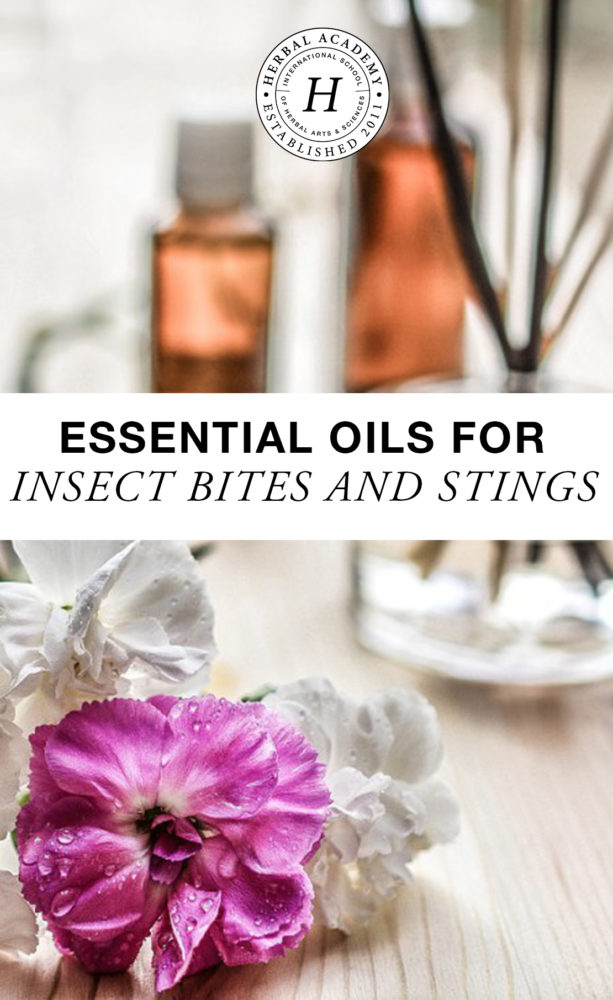 Essential Oils for Insect Bites and Stings | Herbal Academy | Protect your family this summer with these essential oils for insect bites and stings. Learn what essential oils to use and how to use them safely here.