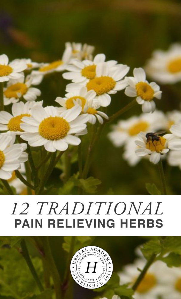 Pain Relieving Herbs