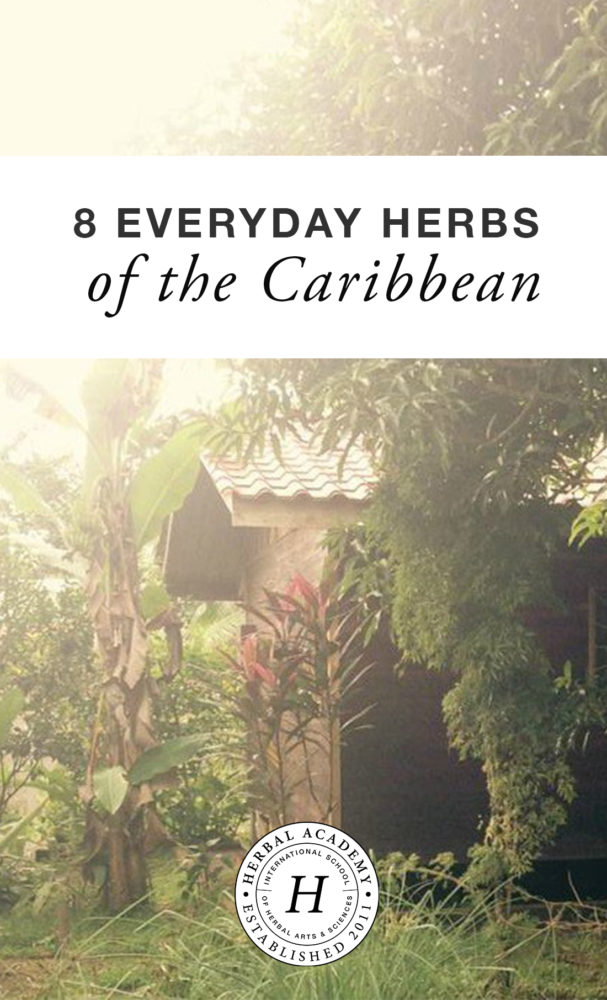 Herbs of the Caribbean